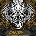 CAPITA SNOWBOARDS poster