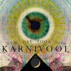 KARNIVOOL TOUR POSTER